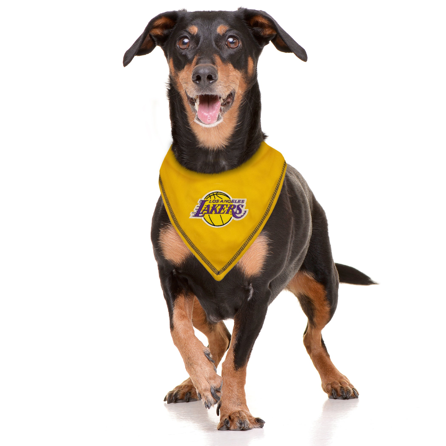 Pets First Co LA LAKERS TIE AROUND BANDANA Apparel