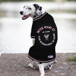 Pets First Co Apparel