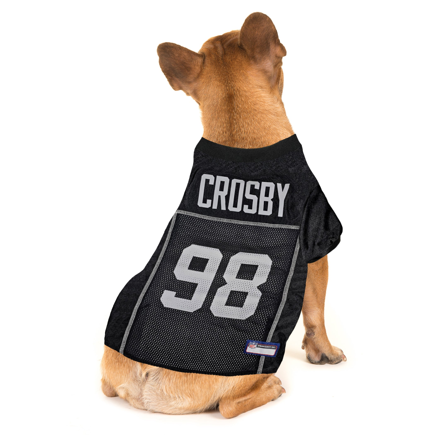 Pets First Co Maxx Crosby Pet Striped Jersey (Oak) Apparel