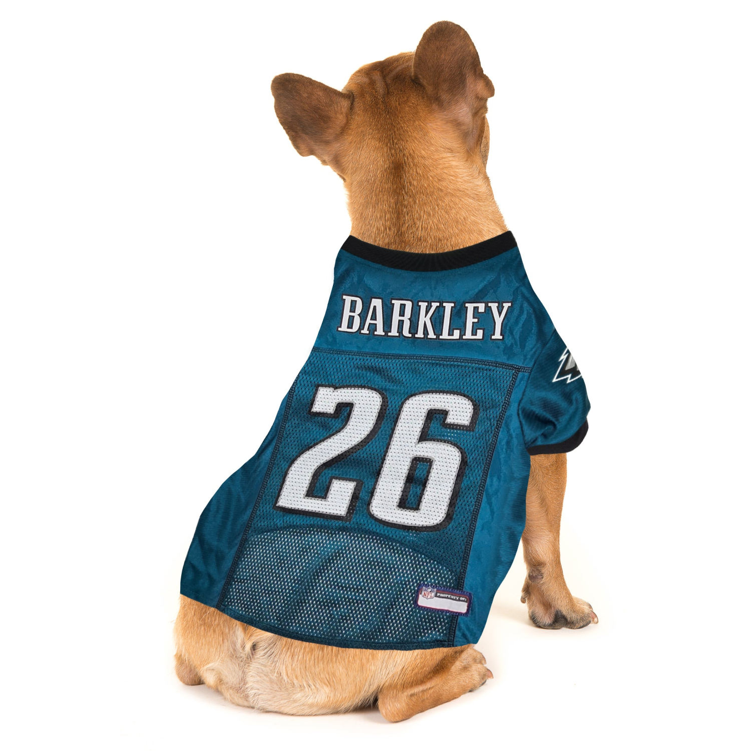 Pets First Co SAQUON BARKLEY PLAYER PET JERSEY (PHL) Apparel