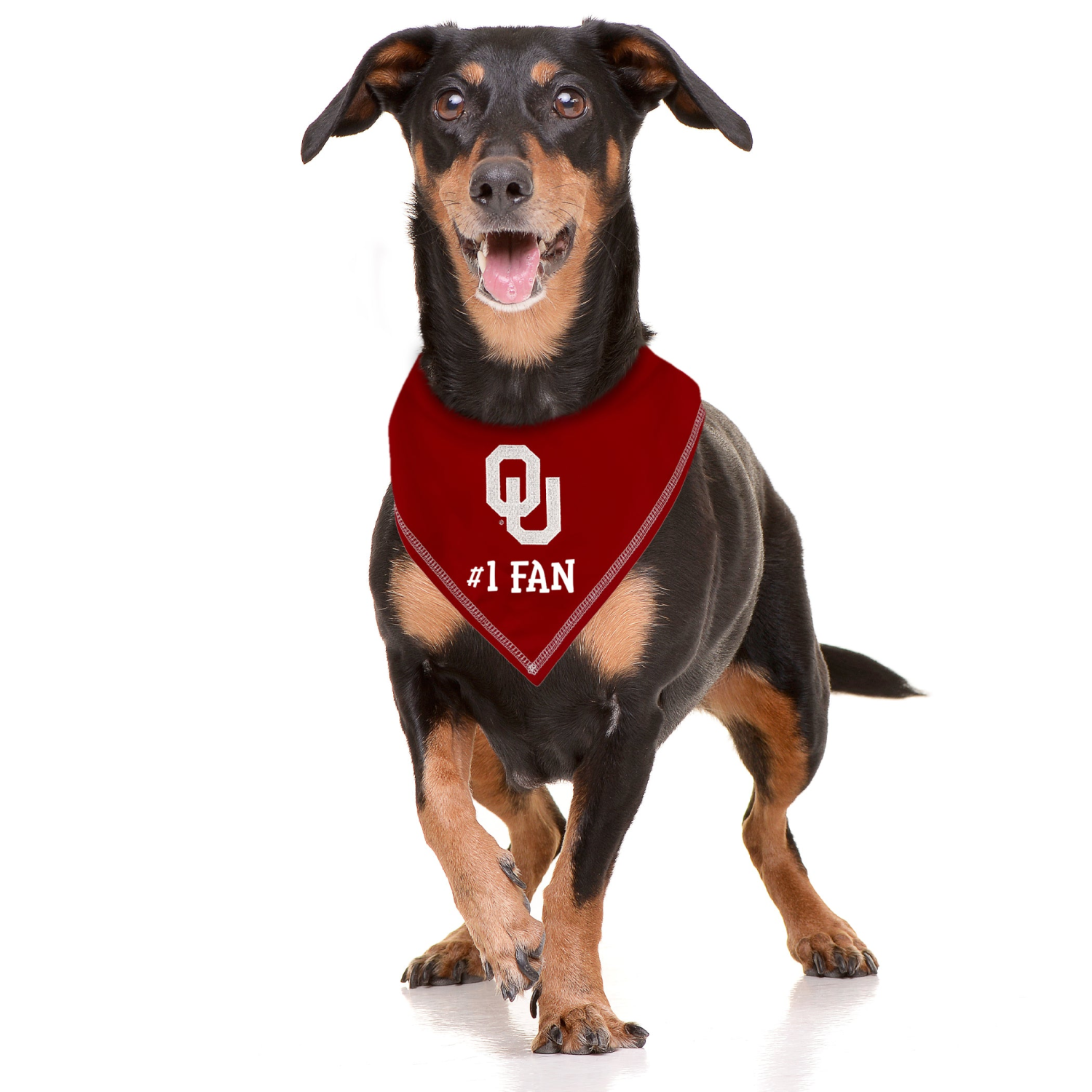 Pets First Co TEXAS A&M TIE AROUND BANDANA Apparel
