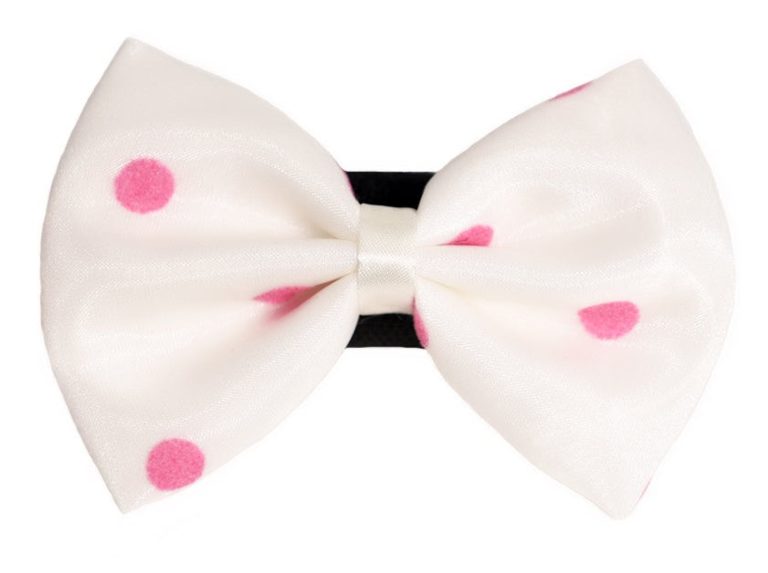 Pets Ribbons PR1001|Pets Ribbons Pet Accessories