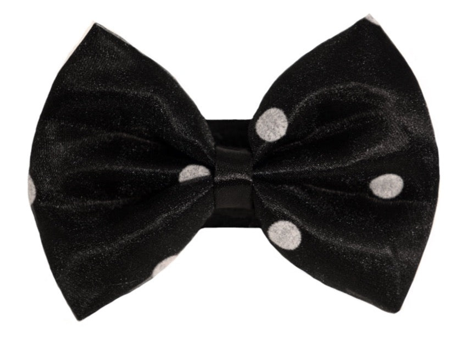 Pets Ribbons PR1001|Pets Ribbons Pet Accessories