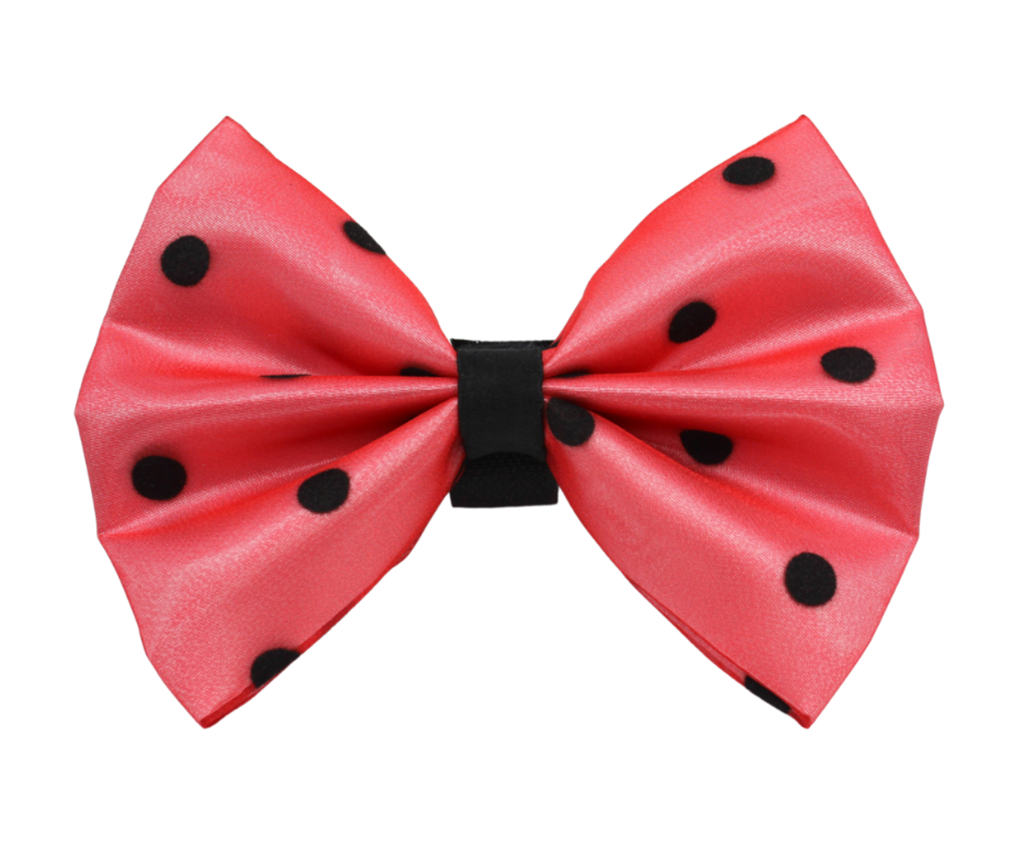Pets Ribbons PR1001|Pets Ribbons Pet Accessories