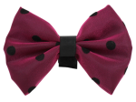 Pets Ribbons Pet Accessories