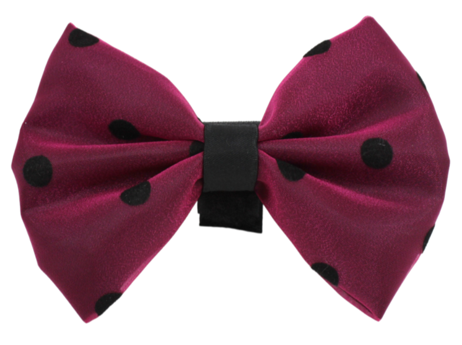 Pets Ribbons PR1001|Pets Ribbons Pet Accessories