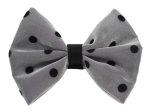 Pets Ribbons Pet Accessories