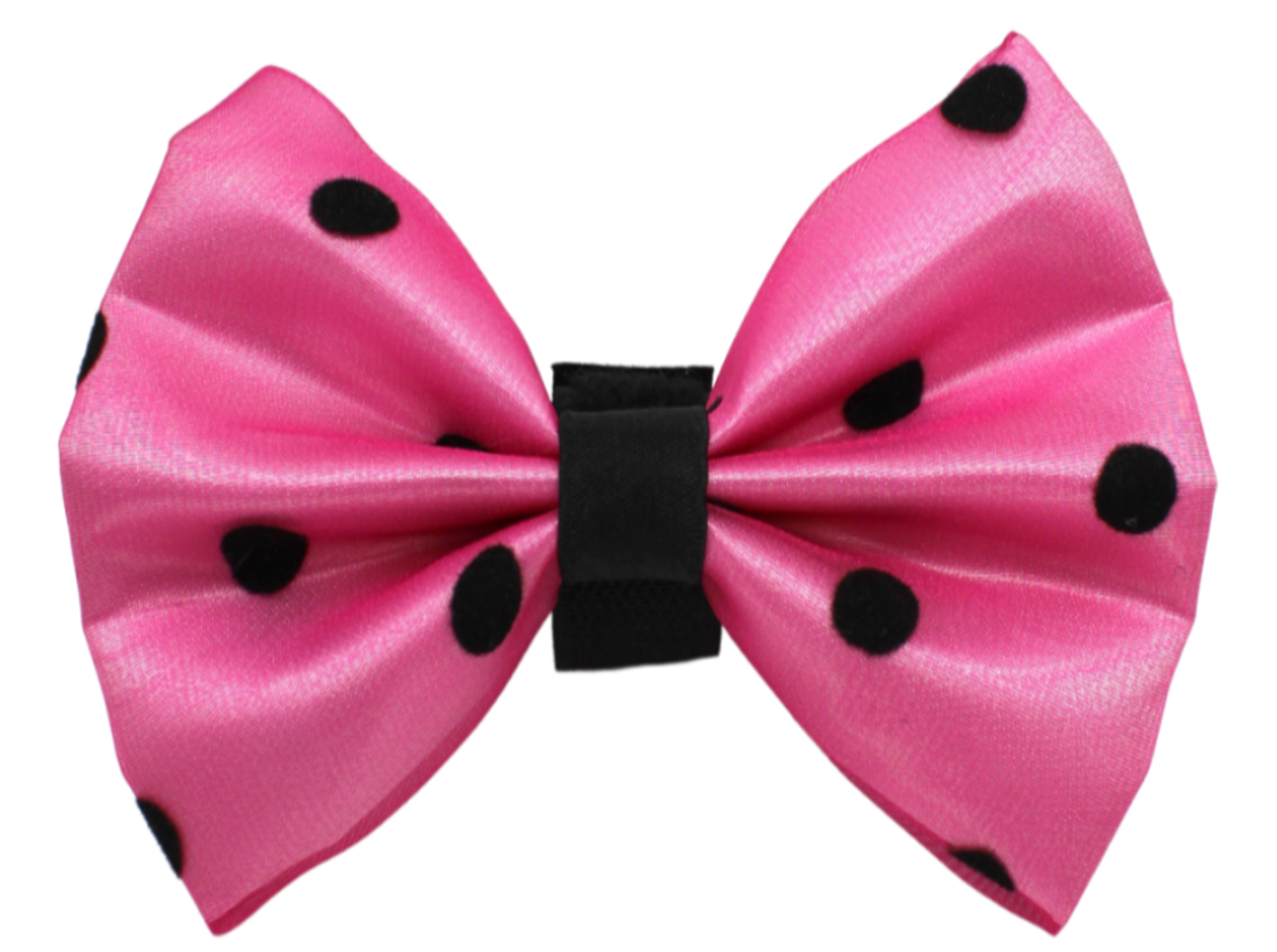 Pets Ribbons PR1001|Pets Ribbons Pet Accessories