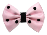 Pets Ribbons Pet Accessories