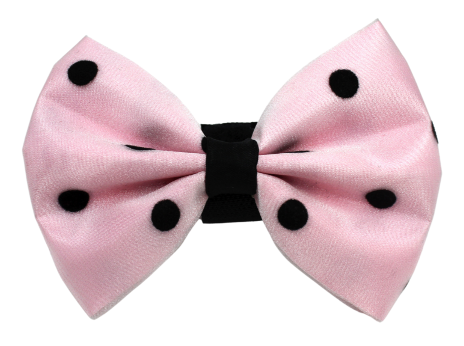 Pets Ribbons PR1001|Pets Ribbons Pet Accessories