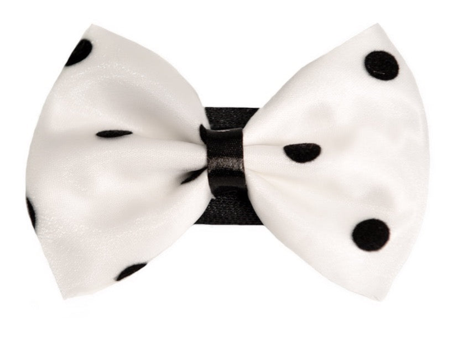 Pets Ribbons PR1001|Pets Ribbons Pet Accessories