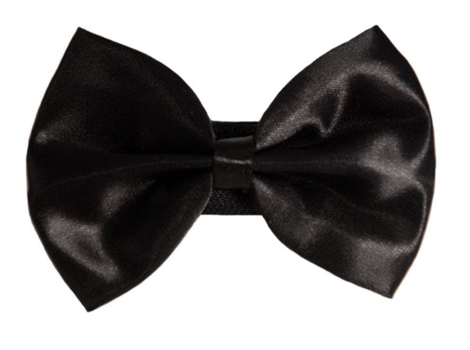 Pets Ribbons PR3000|Pets Ribbons Pet Accessories