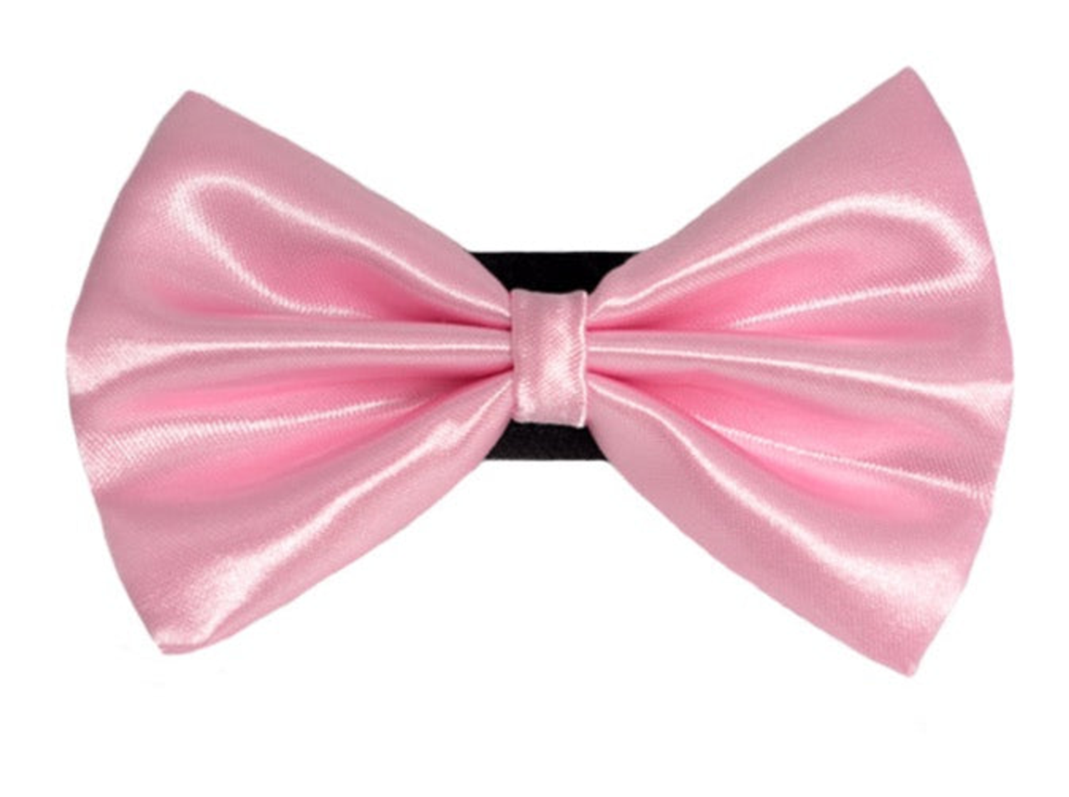 Pets Ribbons PR3000|Pets Ribbons Pet Accessories