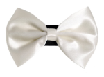 Pets Ribbons Pet Accessories