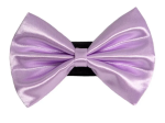 Pets Ribbons Pet Accessories