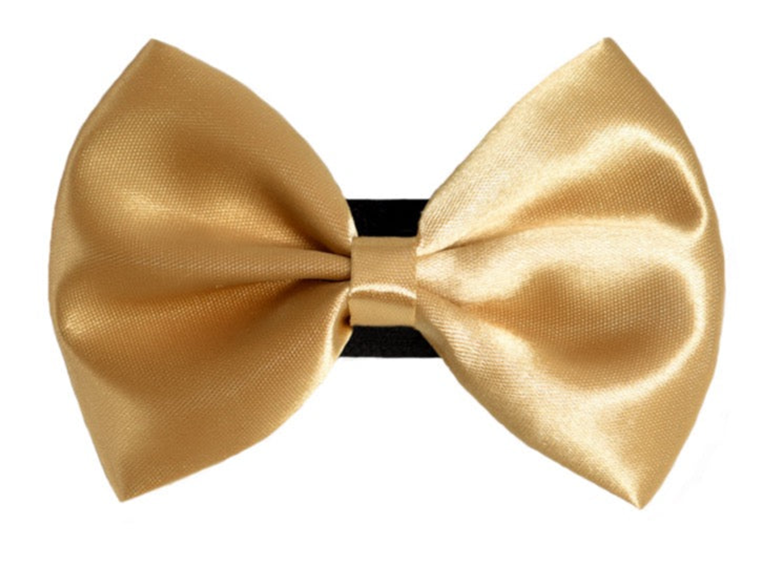 Pets Ribbons PR3000|Pets Ribbons Pet Accessories