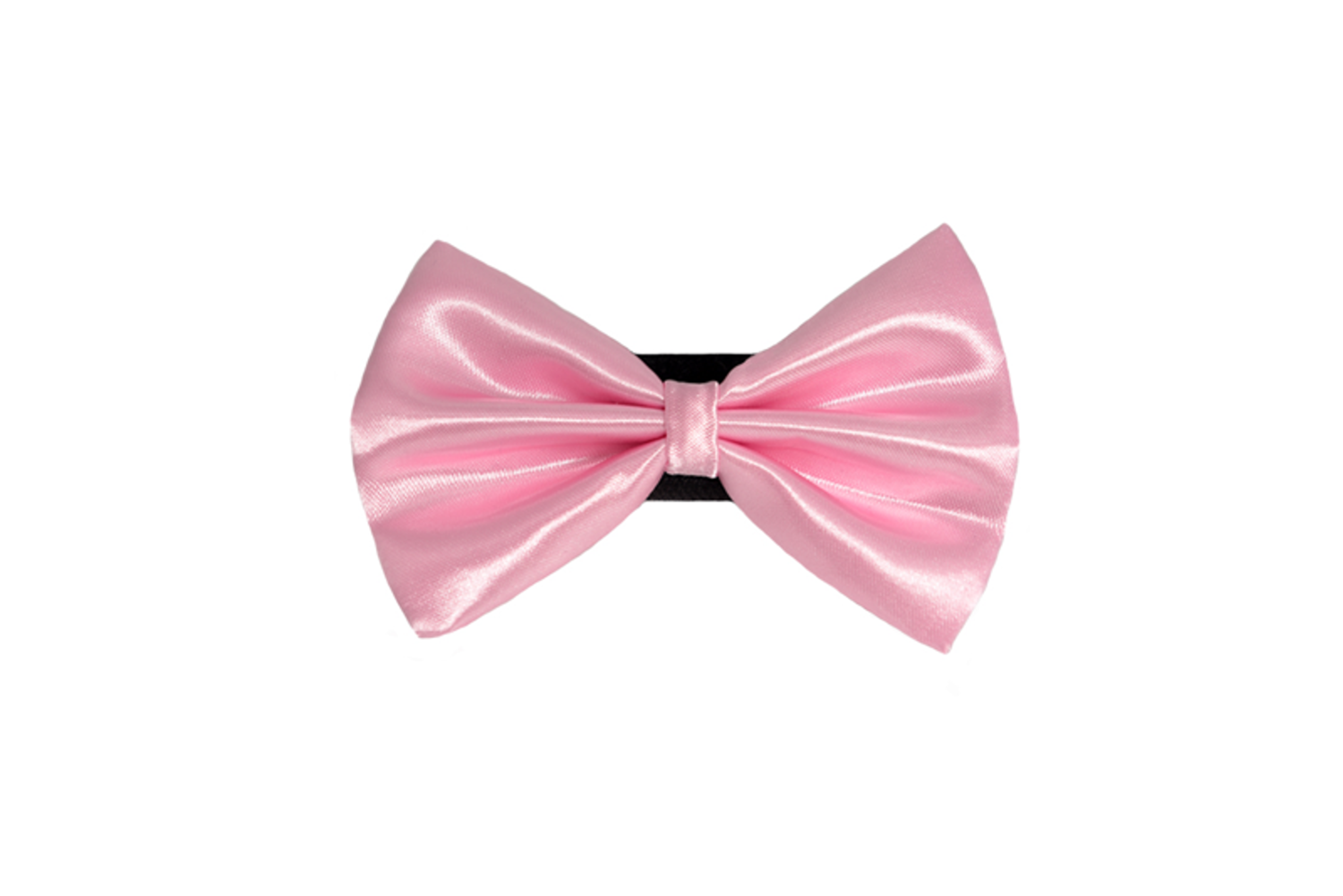Pets Ribbons PR3000|Pets Ribbons Pet Accessories