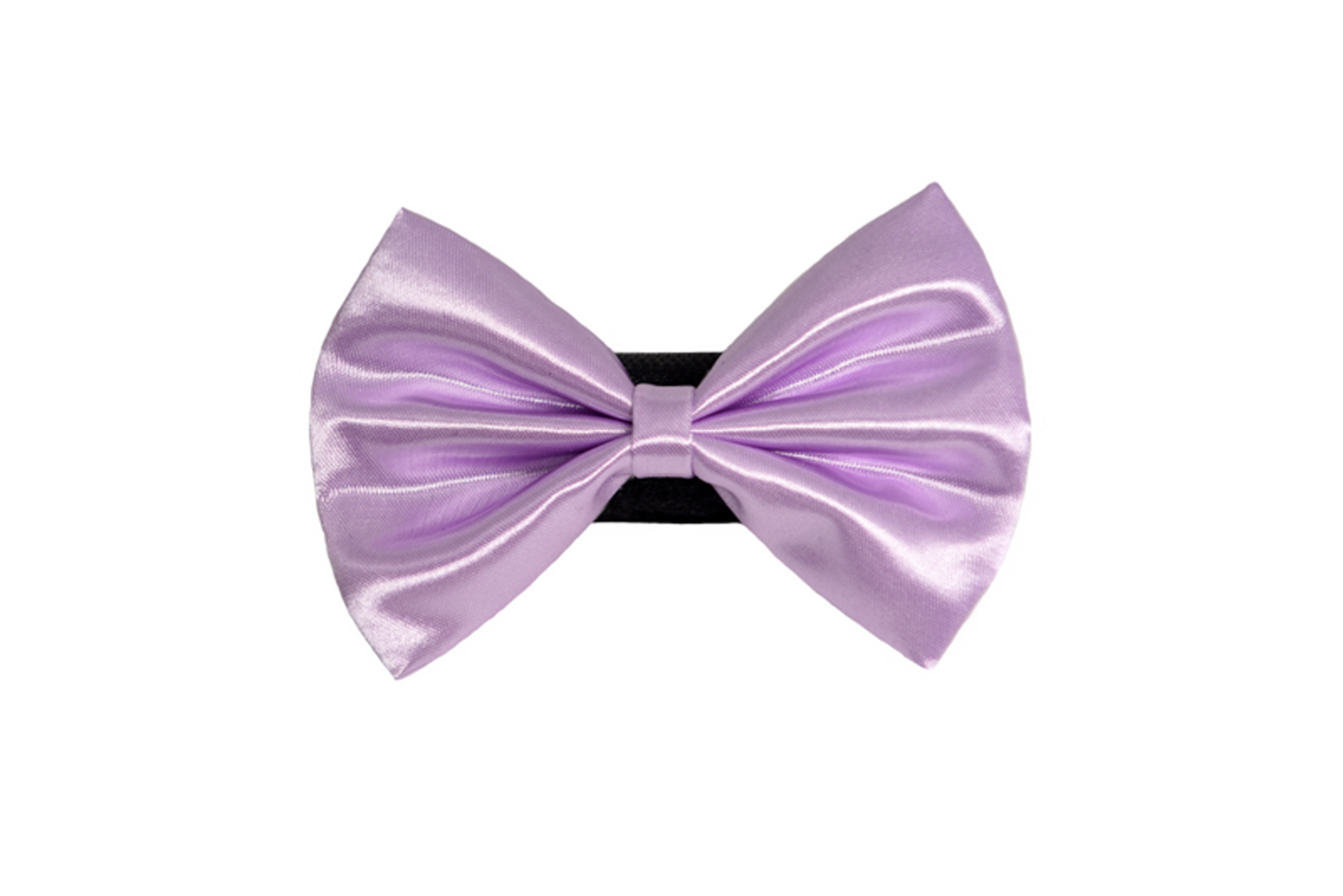 Pets Ribbons PR3000|Pets Ribbons Pet Accessories