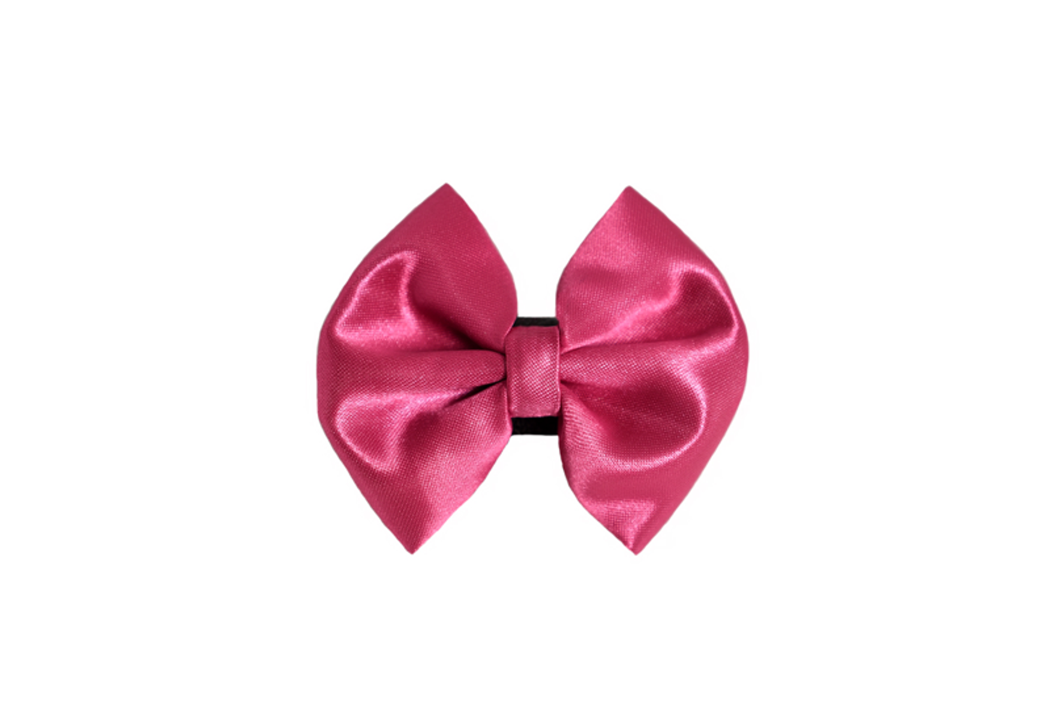Pets Ribbons PR3000|Pets Ribbons Pet Accessories
