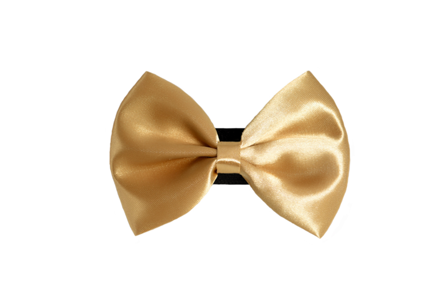 Pets Ribbons PR3000|Pets Ribbons Pet Accessories