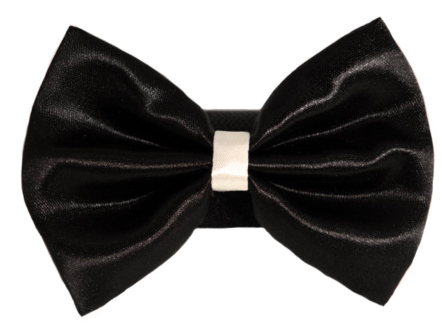 Pets Ribbons PR3001|Pets Ribbons Pet Accessories