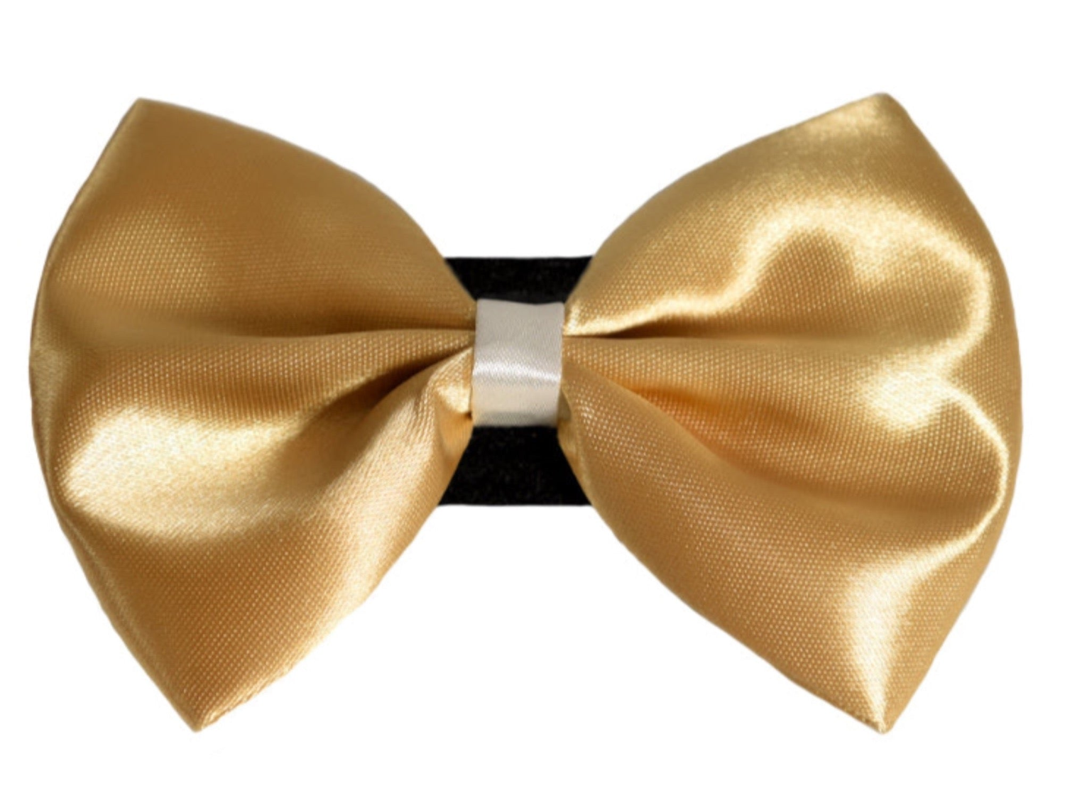 Pets Ribbons PR3001|Pets Ribbons Pet Accessories