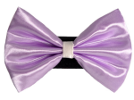 Pets Ribbons Pet Accessories