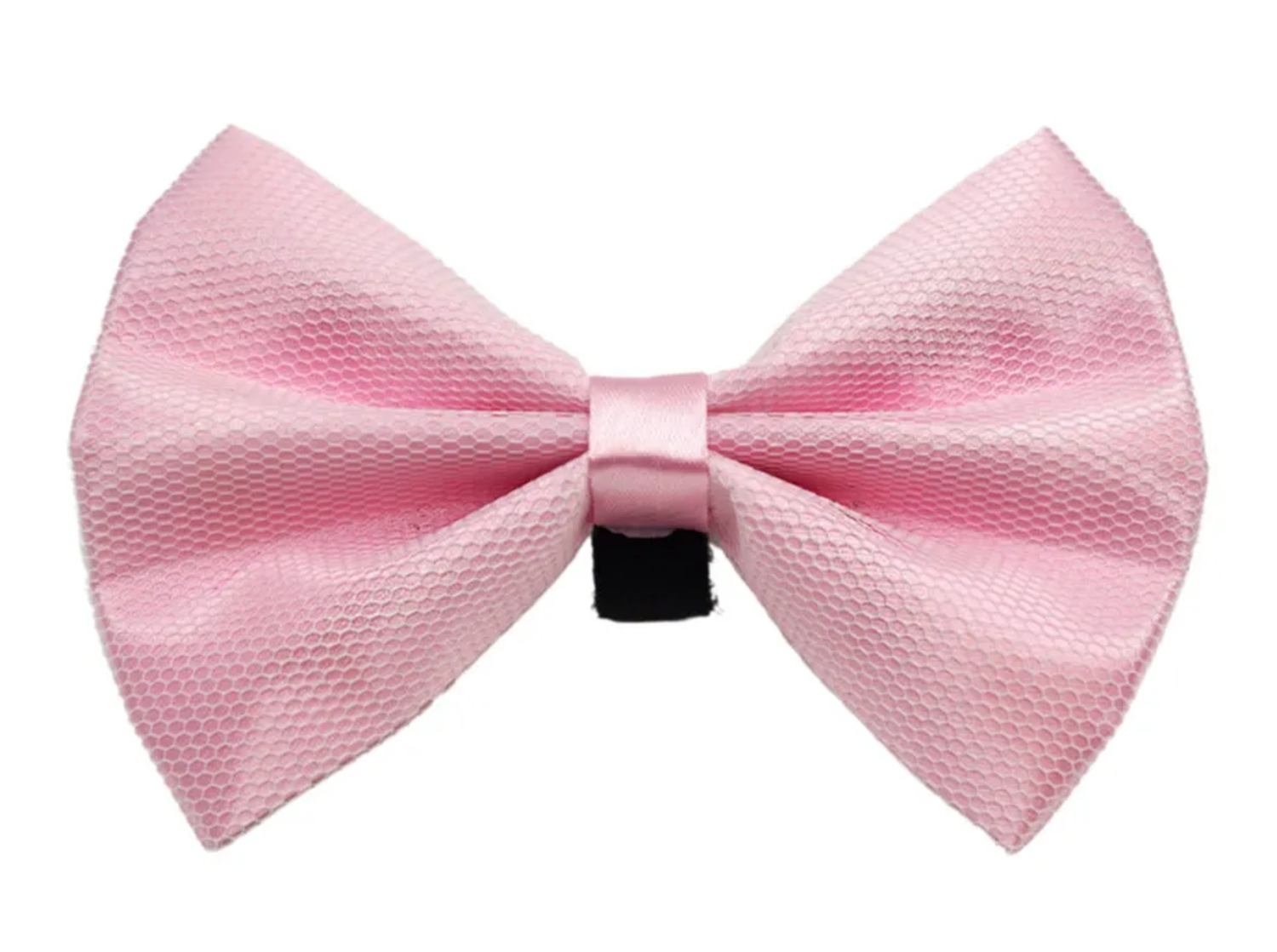 Pets Ribbons PR3004|Pets Ribbons Pet Accessories
