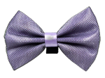Pets Ribbons PR3005|Pets Ribbons Pet Accessories