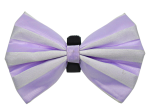 Pets Ribbons PR3006VA|Pets Ribbons Pet Accessories