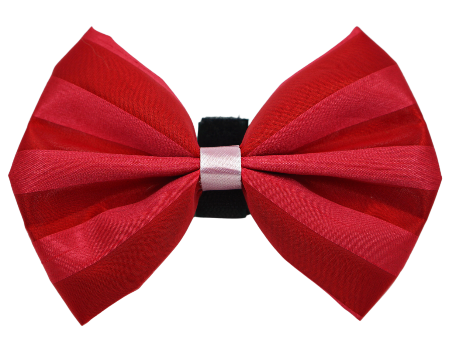 Pets Ribbons PR3006VA|Pets Ribbons Pet Accessories