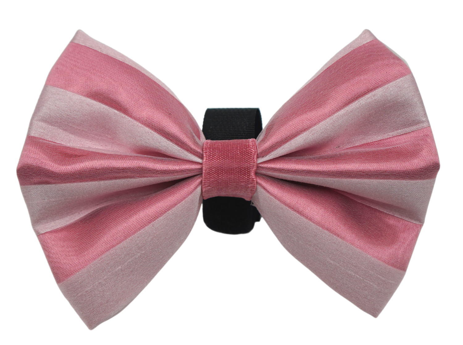 Pets Ribbons PR3006VA|Pets Ribbons Pet Accessories