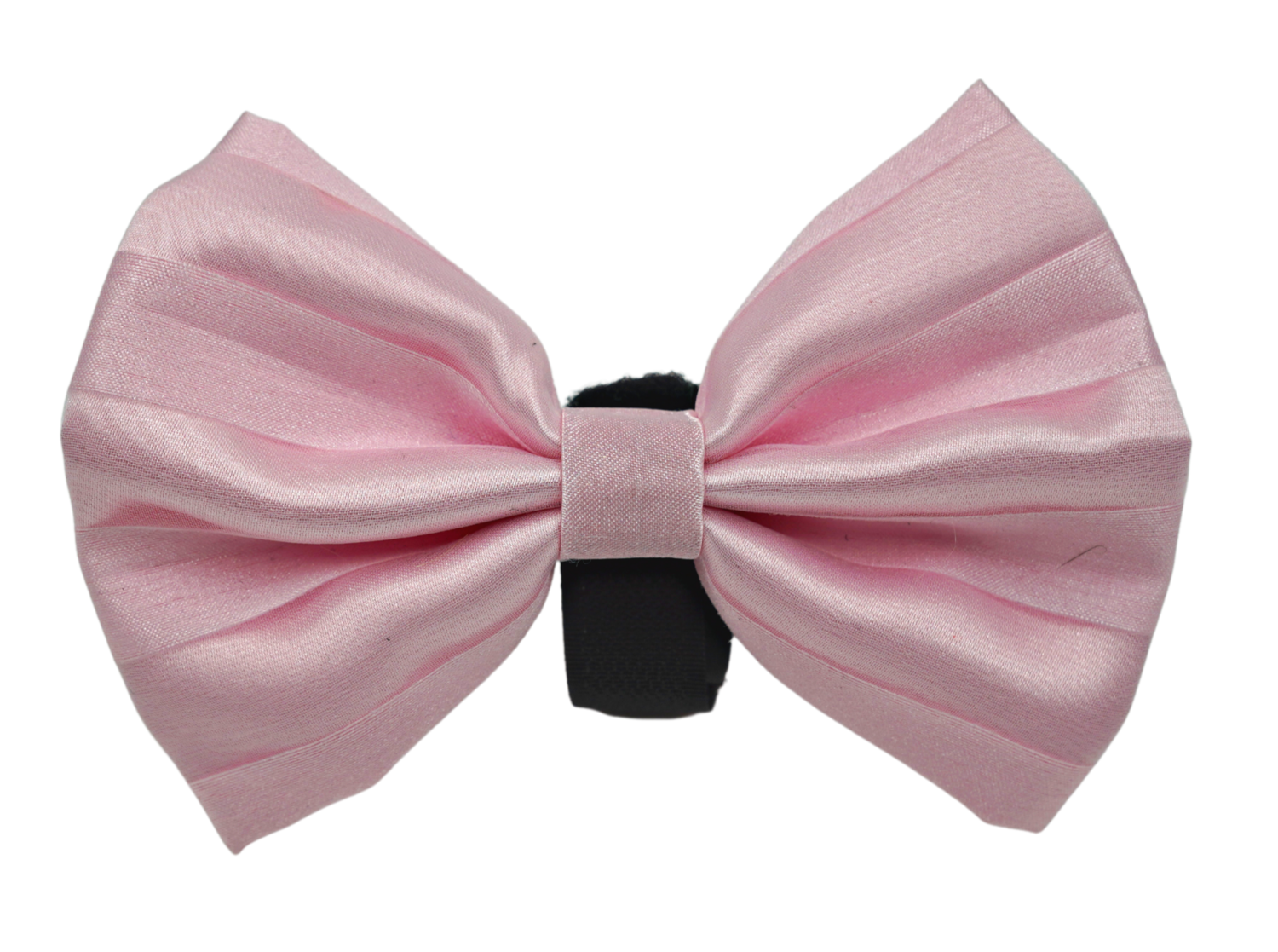 Pets Ribbons PR3006VA|Pets Ribbons Pet Accessories