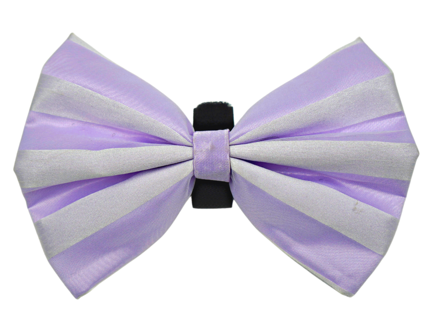 Pets Ribbons PR3006VA|Pets Ribbons Pet Accessories