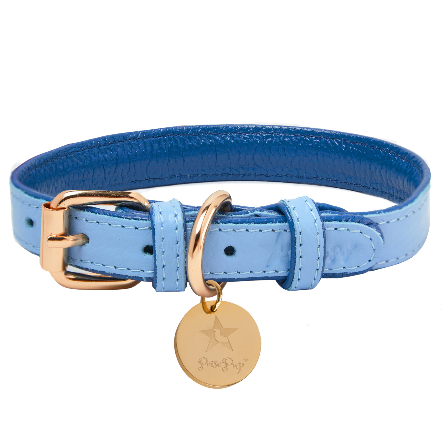 PoisePup Dog Collar Dog Collars