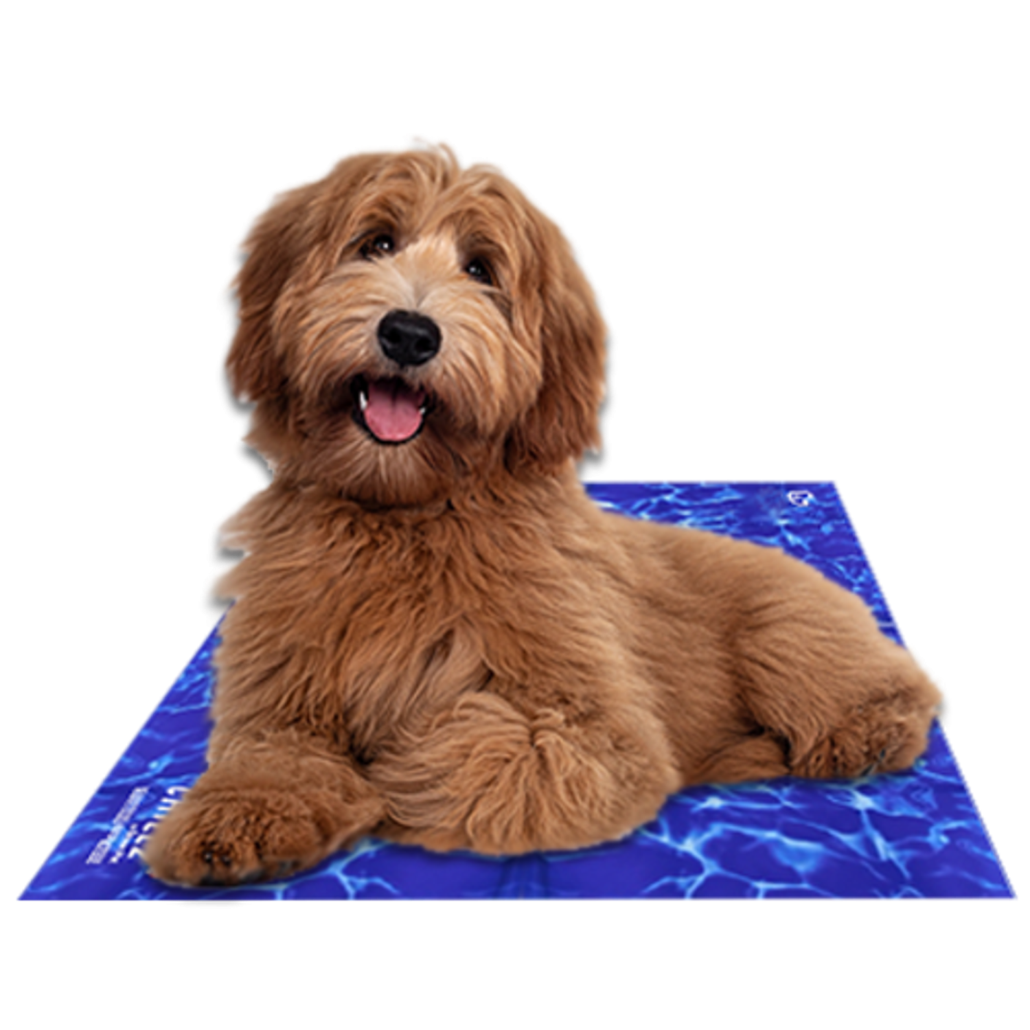The Green Pet Shop Chillz Gel Mat Training