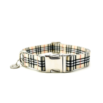 Urban Dog Stars Dog Collars