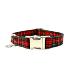 Urban Dog Stars Dog Collars