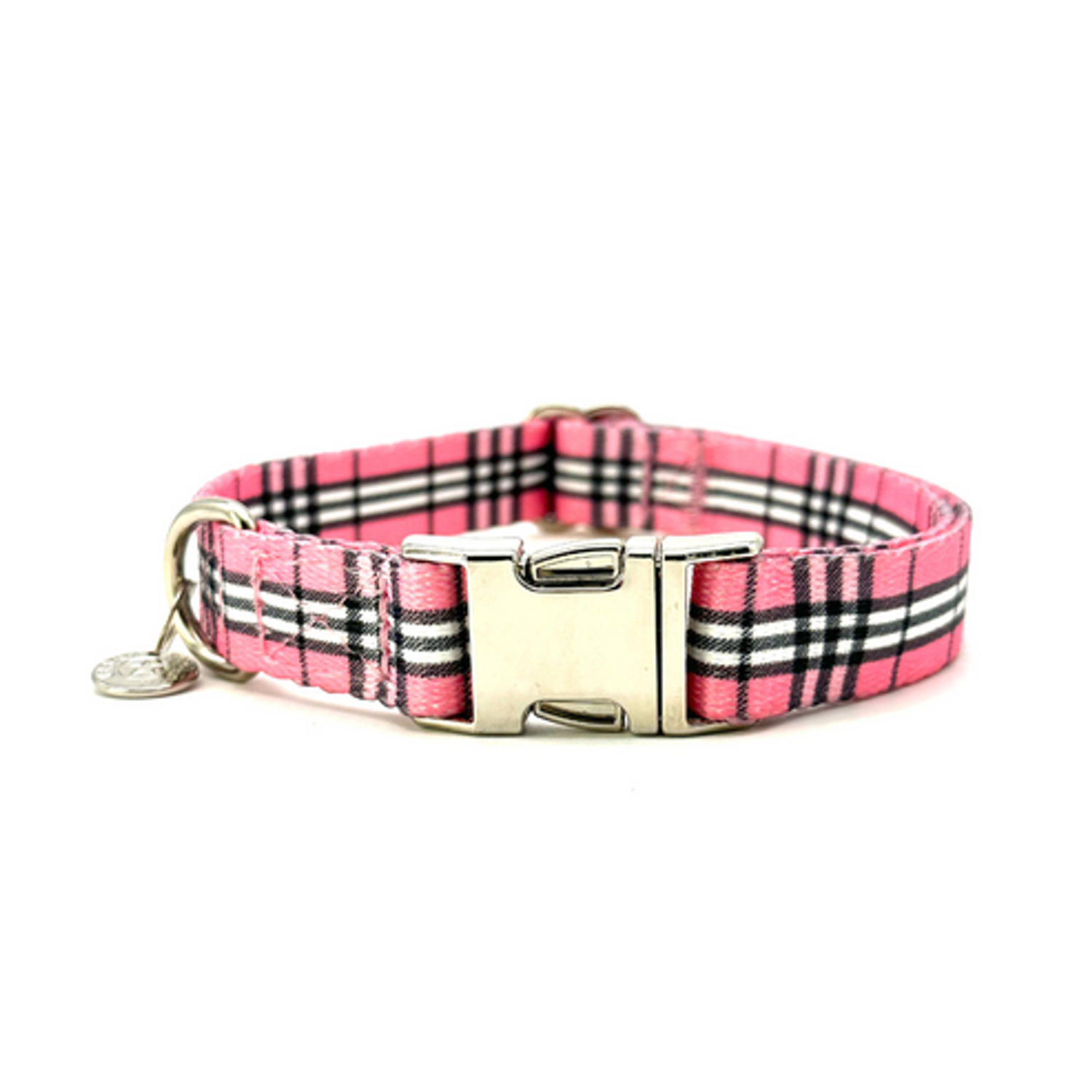 Urban Dog Stars Adjustable Collar Dog Collars