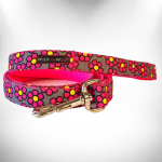 WalkeWoo Ltd Dog Leads