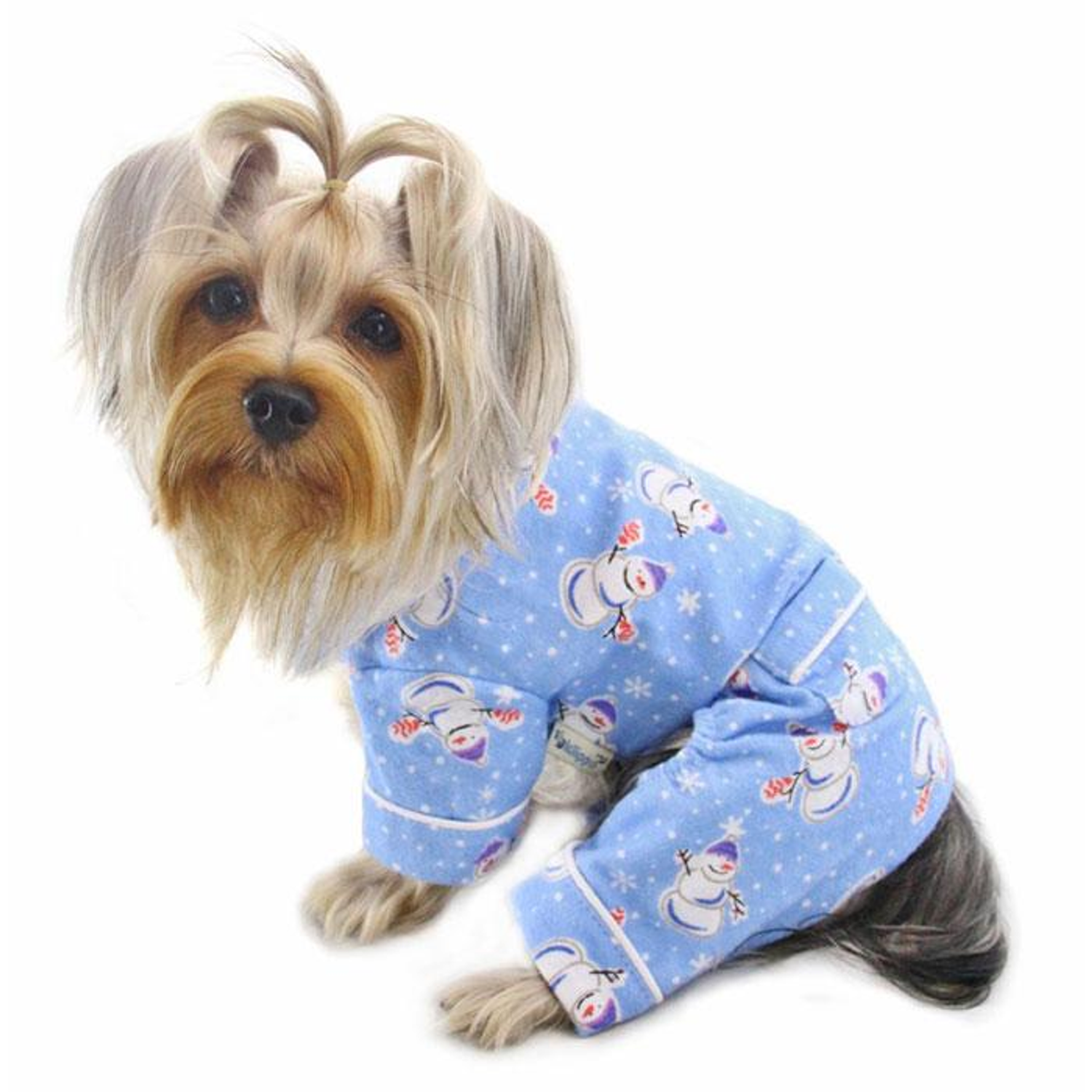 Comfort and Style for Pets This Winter