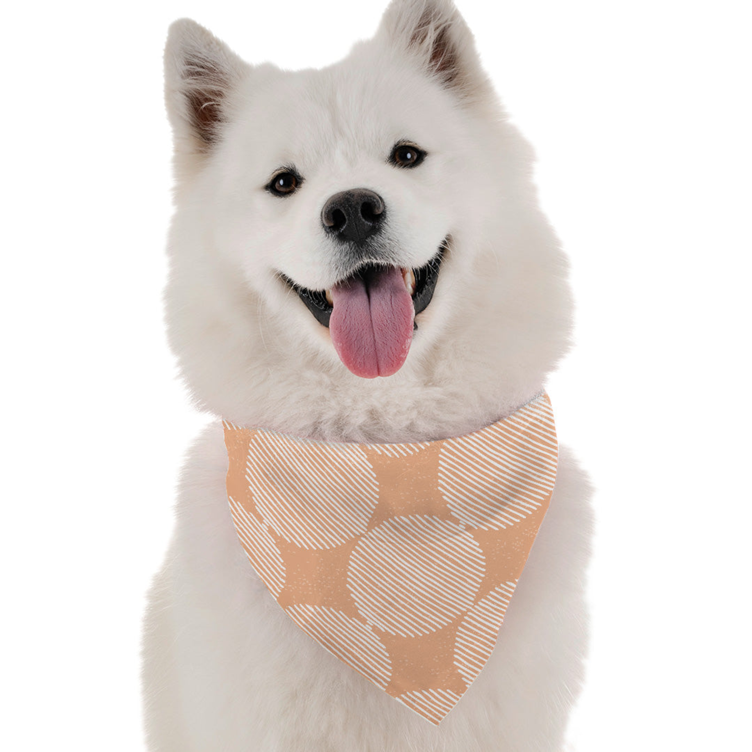 Elevate Your Pup's Style with Bandoggies Aria Bandana
