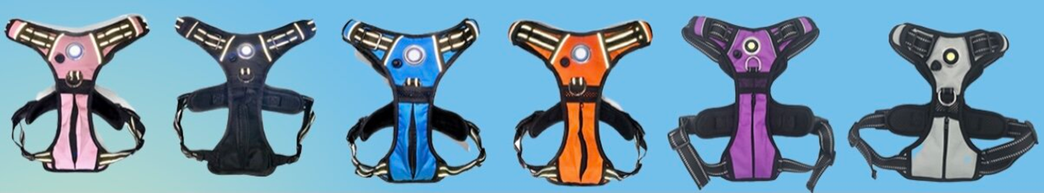Enhance Nighttime Walks with the Headlight Harness