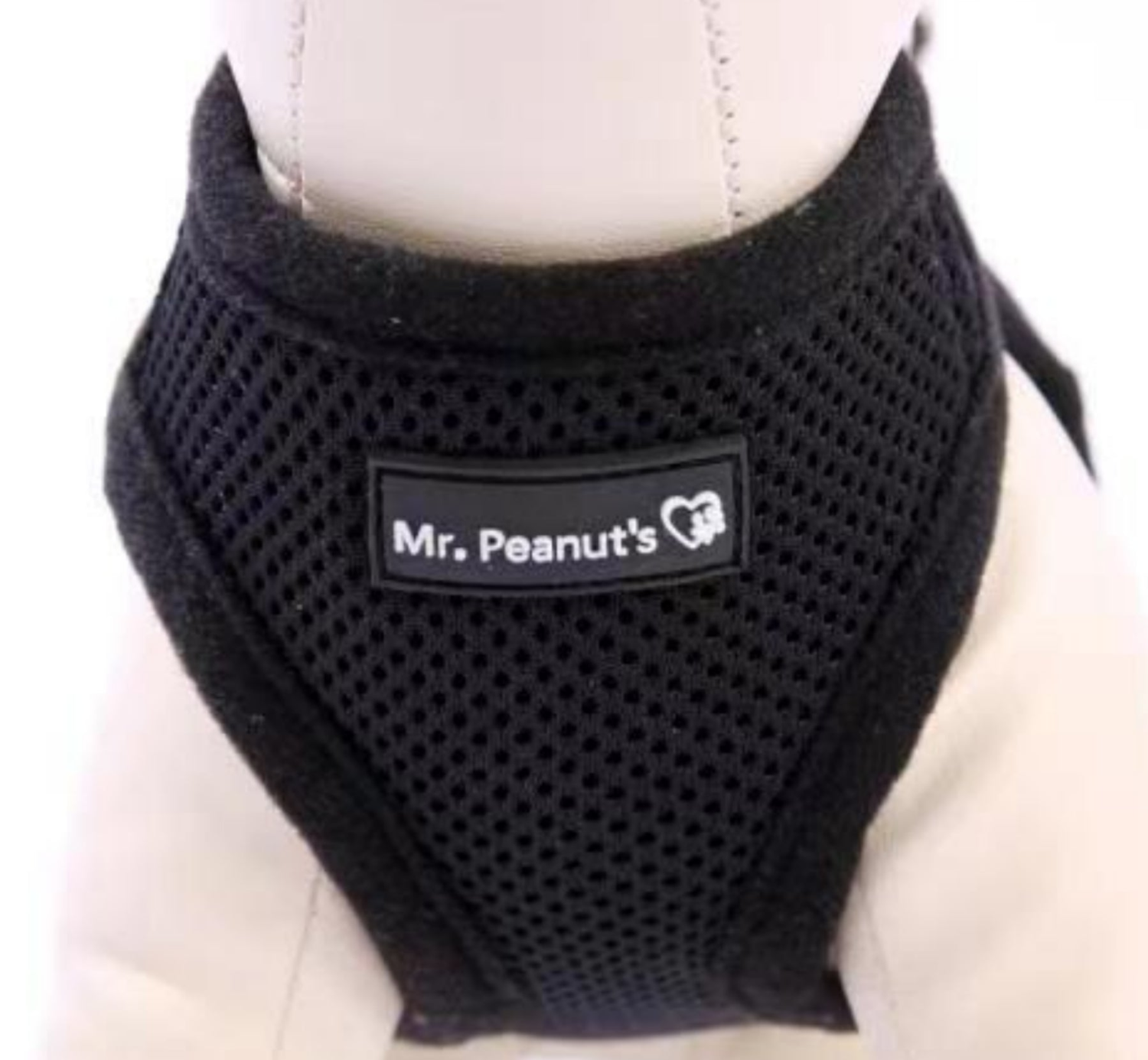 Comfort and Style with Mr. Peanut's PupTrek Harness
