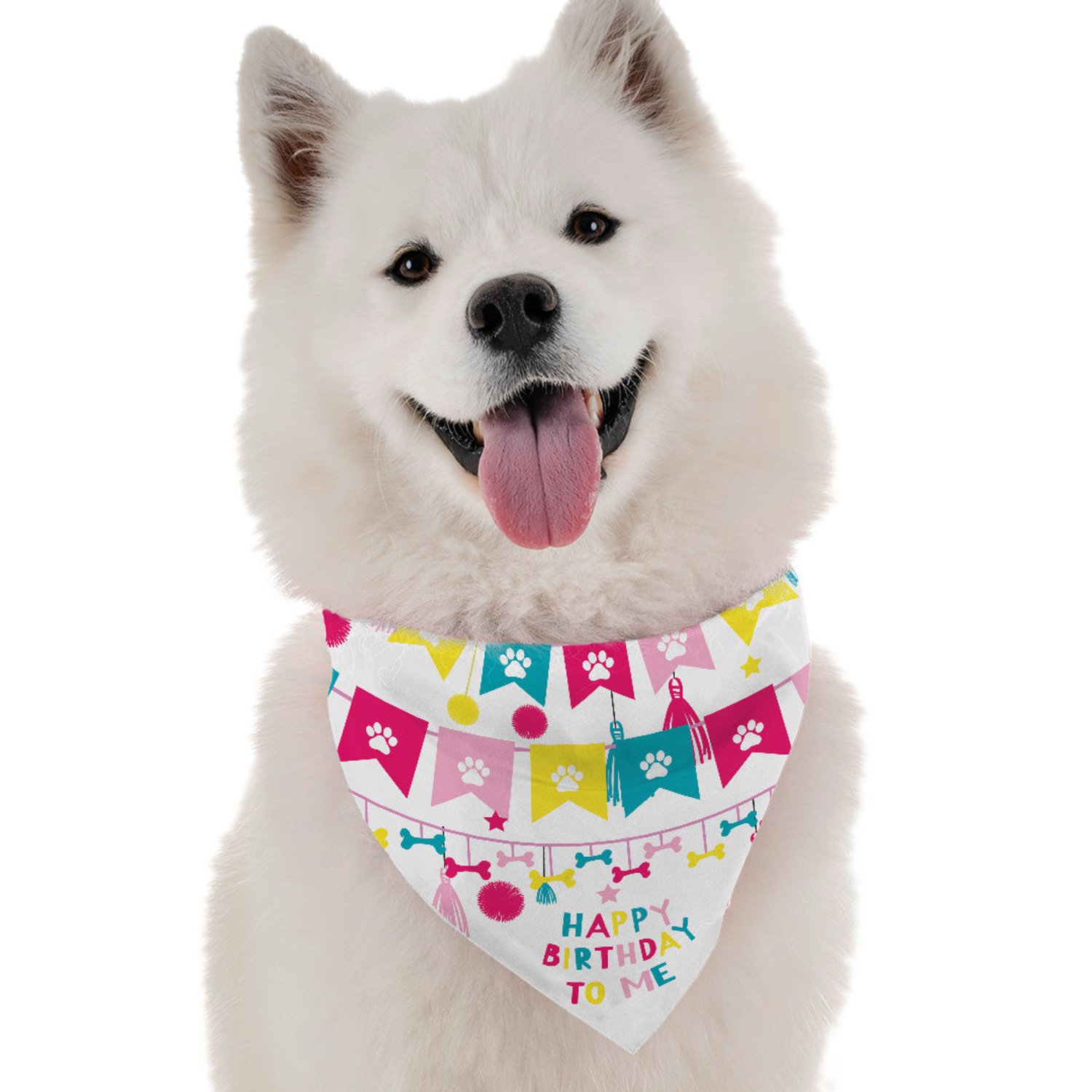 Explore Fun with the Multipet Margaritaville Pirate and Parrot Toy