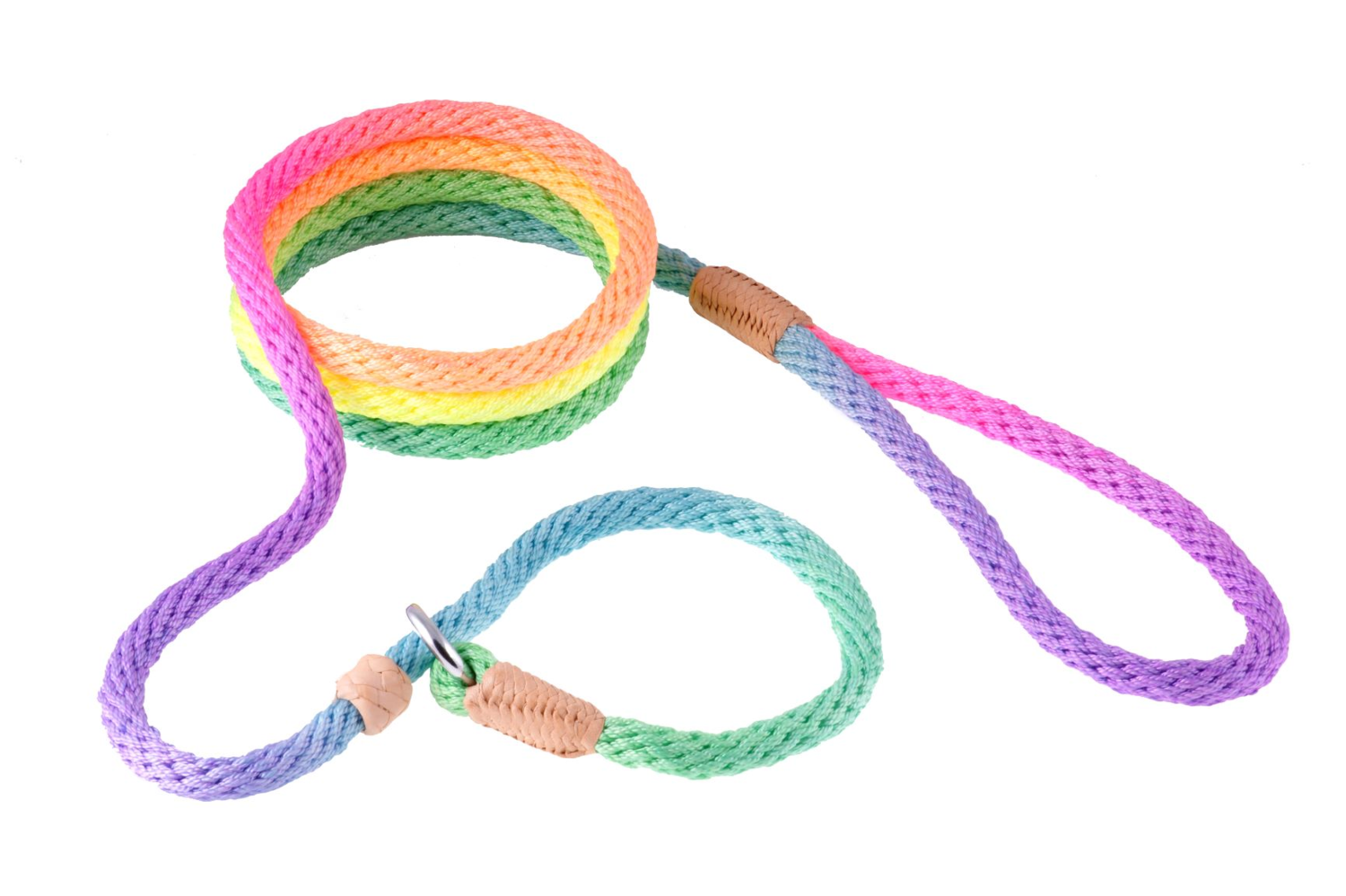 Discover the Alvalley LLC Nylon Slip Leash for Dogs