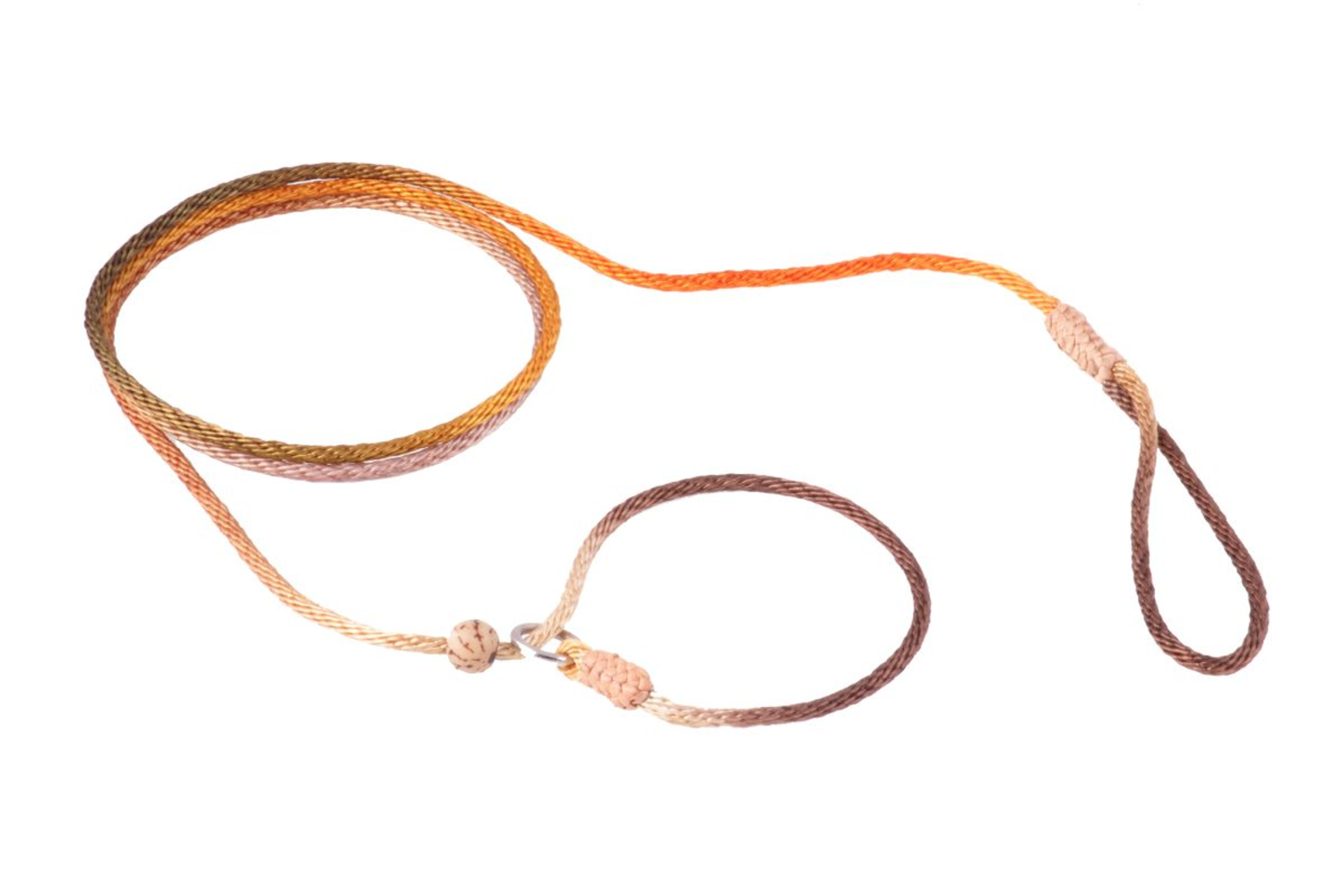 Elevate Your Dog’s Style with PoisePup Harness