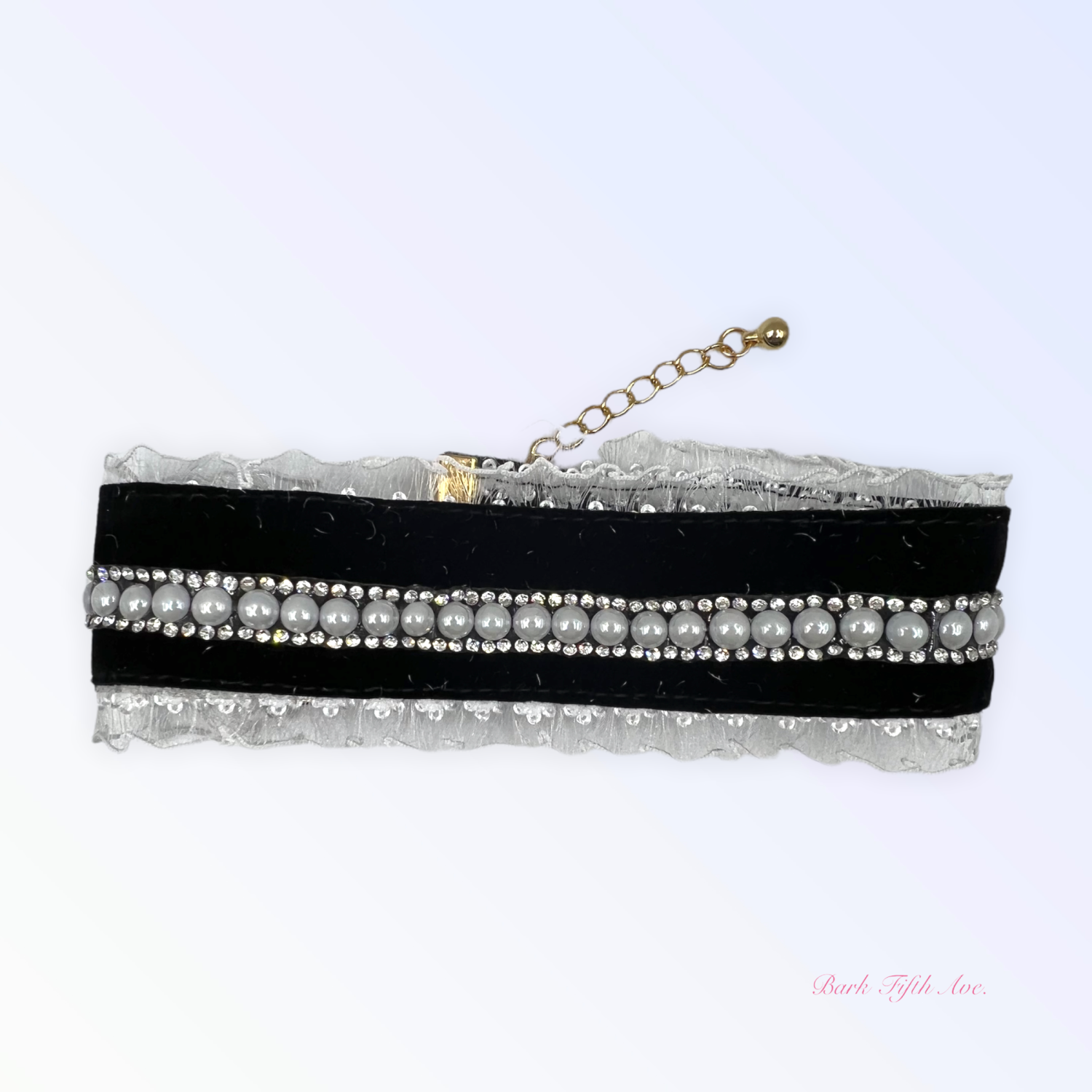 Upgrade Your Pet Grooming with Bass Brushes