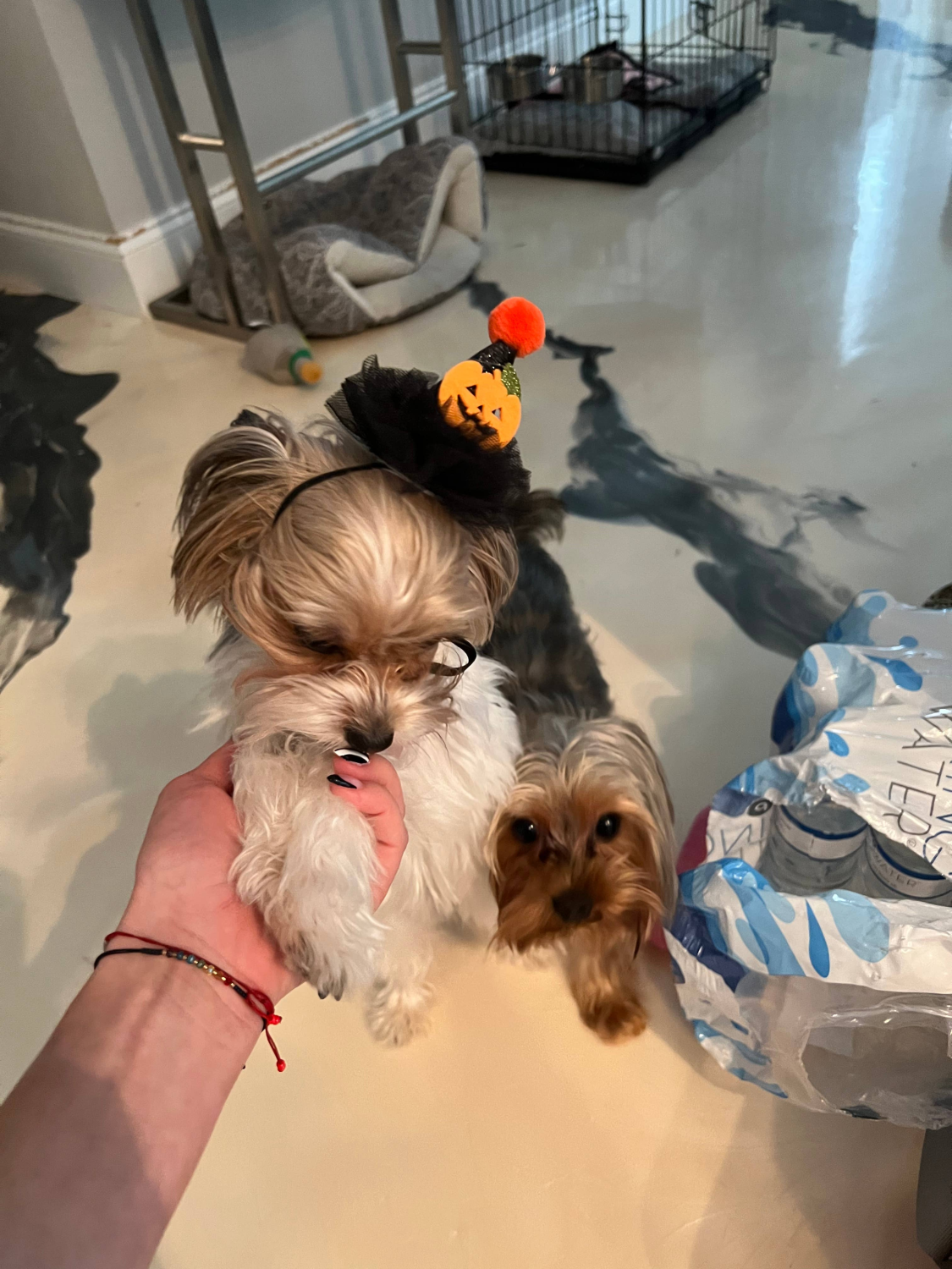 Show Your Team Spirit with the Spurs Tee