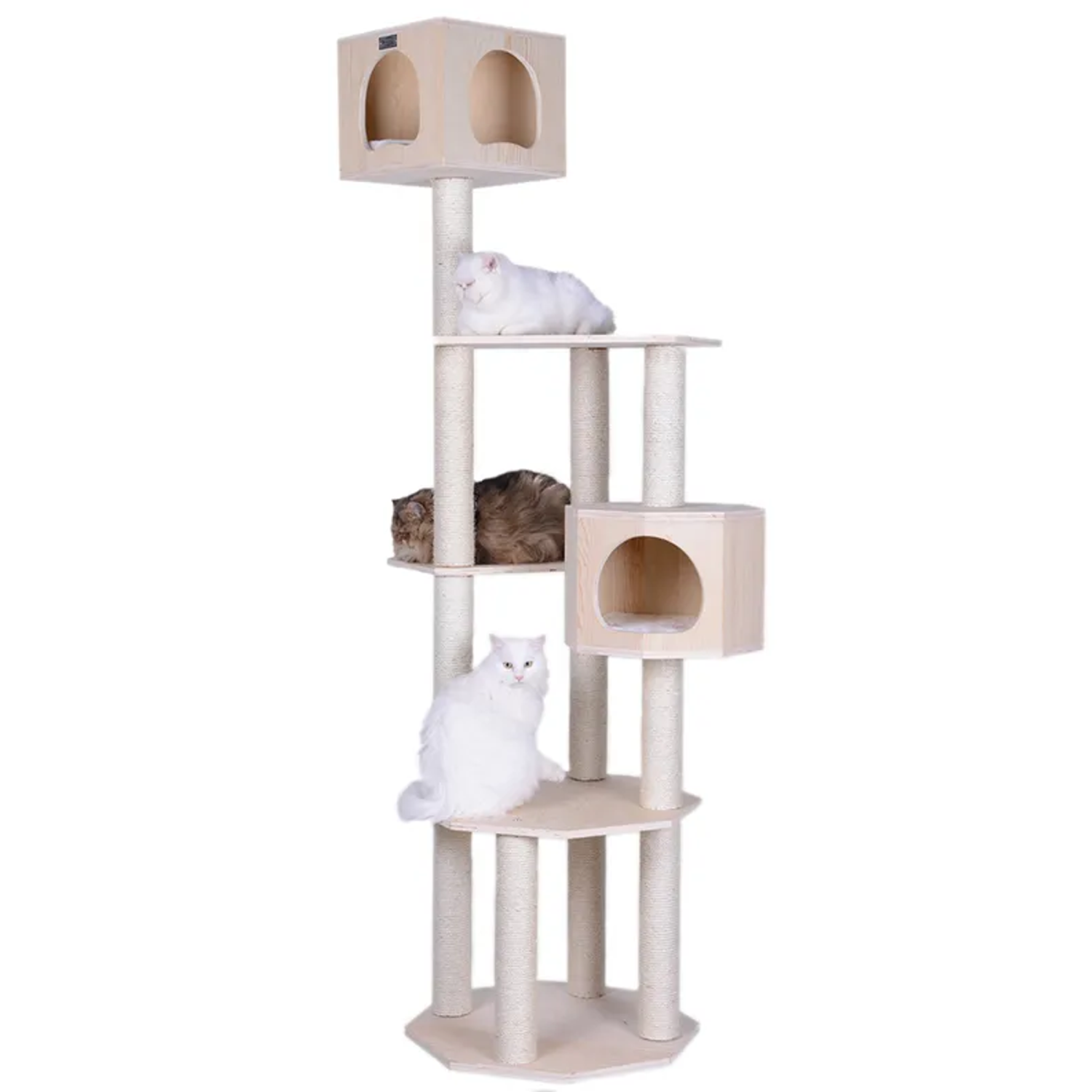 Explore the Armarkat Premium Scots Pine Cat Tree